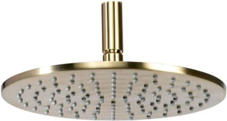Blue Label Blue Brondby hoofddouche 25 geborsteld goud