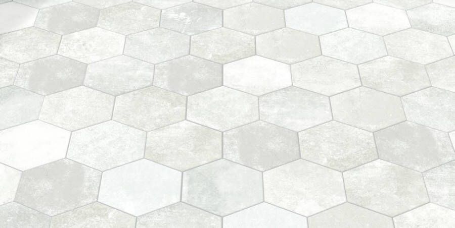 DATEG Pompeia hexagon tegel 20x24 blanco