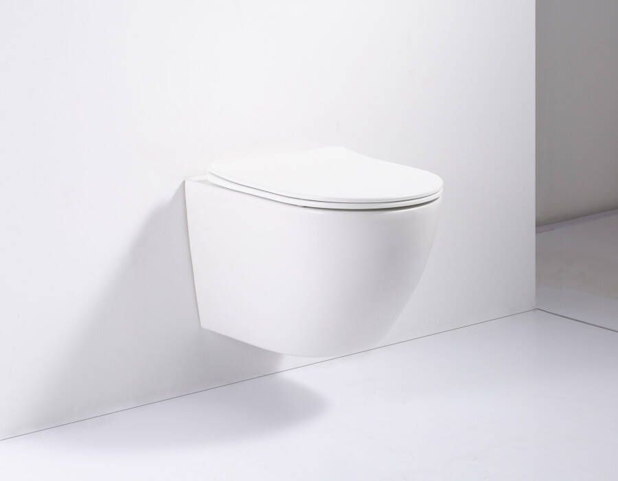 DATEG Vulsini hangend toilet 48 mat wit online kopen