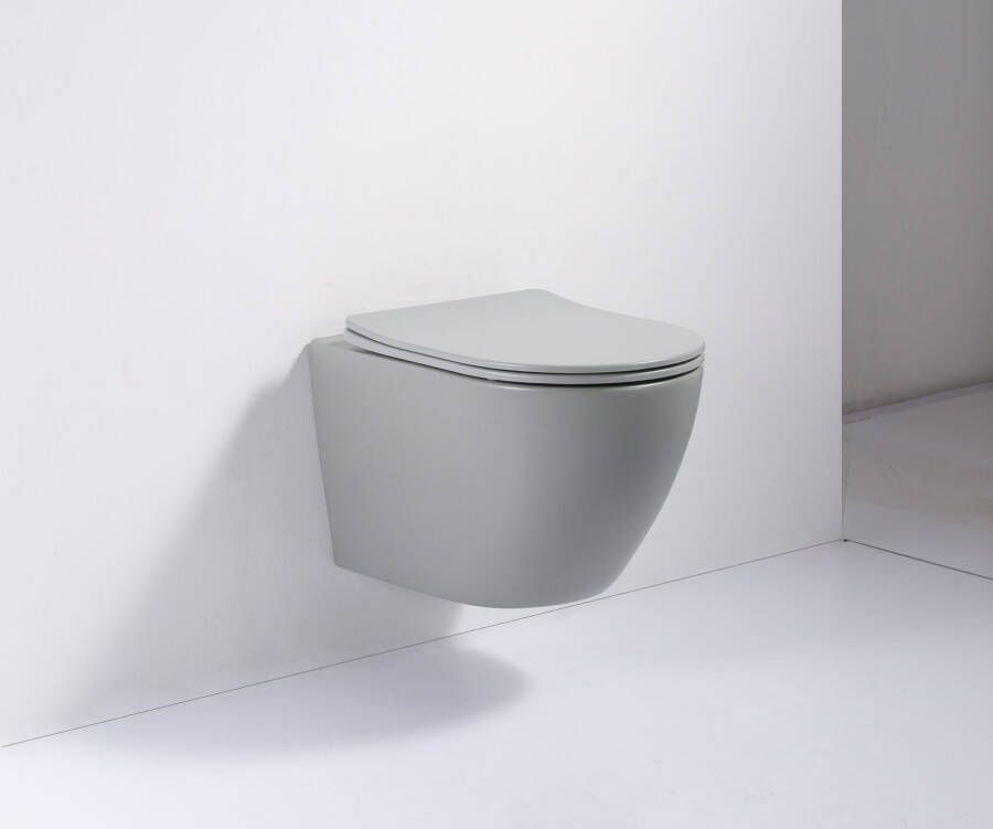 DATEG Vulsini rimfree hangend toilet 48 mat lichtgrijs