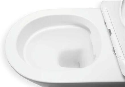 Blue Label Odin rimfree verkort toilet met zitting 49 mat wit