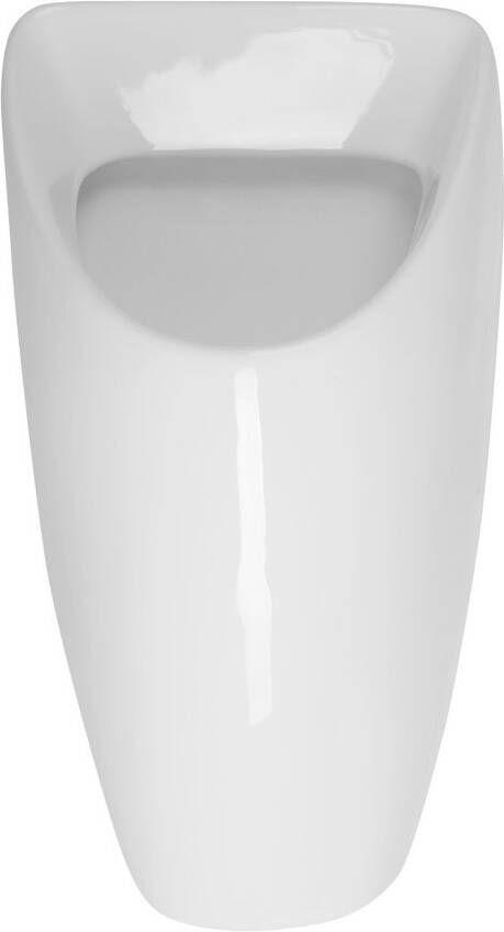 Bruckner Schwarn keramisch urinoir met achteraansluiting wit