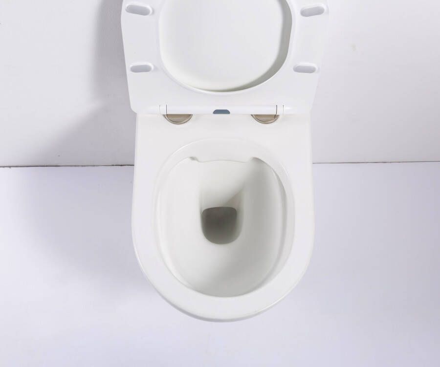 DATEG Vulsini rimfree hangend toilet 48 mat wit