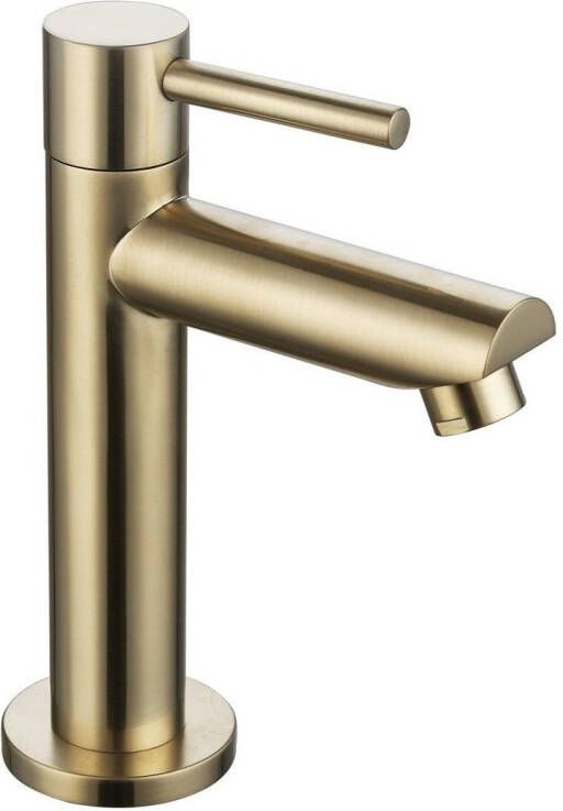 Neuer ronde fonteinkraan geborsteld goud