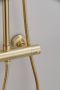 Saniclear Brass opbouw regendouche 30 geborsteld messing - Thumbnail 4