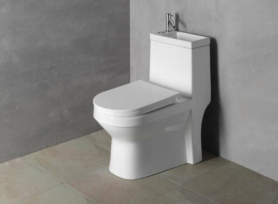 Sapho Aqualine Hygie rimfree staand toilet met wastafel wit