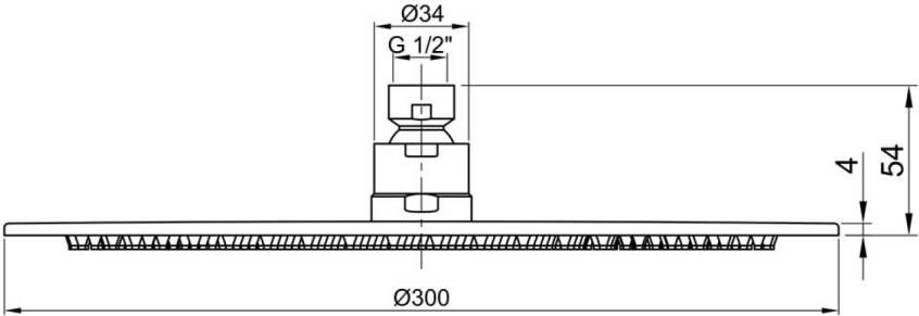 Sapho Minimal Hoofddouche dia 300mmx5mm roestvrij staal