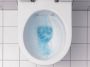 STARBLUEDISC Raybro toebehoren onderdelen voor spoelreservoir toiletblokken groen(12x ) - Thumbnail 5