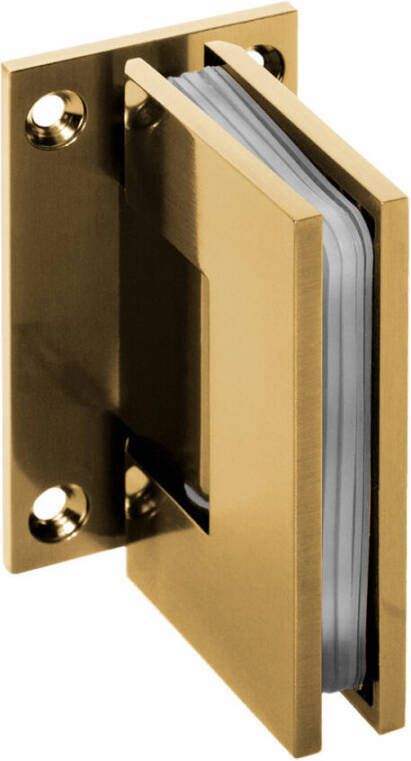 Topa Creative profielloze nisdeur XL 260 breedte deur 60 goud