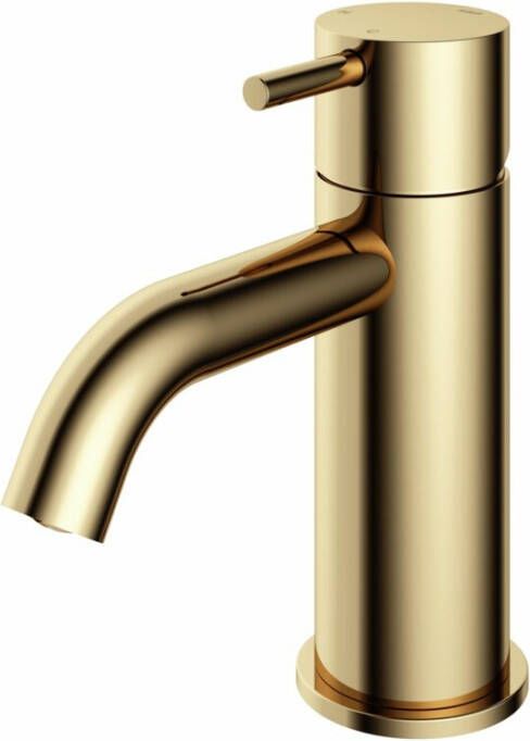 Hotbath Wastafelmengkraan Cobber 1-hendel Gebogen 14.3 cm Living Colour Gepolijst Messing Living Colours