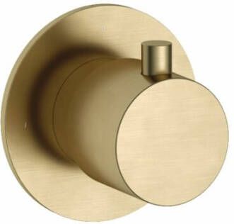 Hotbath OUTLET Stopkraan Cobber Inbouw Thermostaat Geborsteld Messing (excl. inbouwdeel) Living Colours (NIEUW ARTIKELNUMMER HTBCB7068EXTBB) - Foto 2