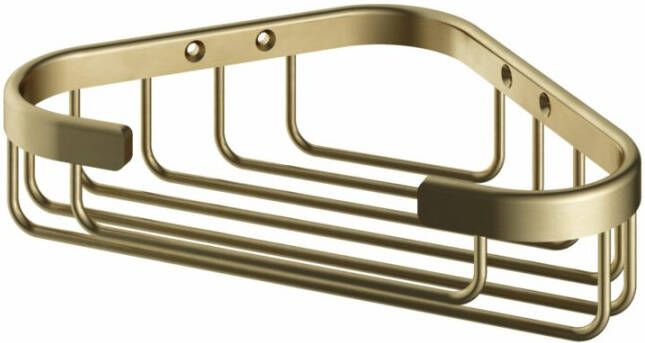 Hotbath Cobber CBA13 shampoohouder geborsteld messing