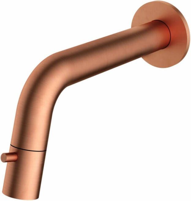 Hotbath Fonteinkraan Inbouw Dude 1-knop gebogen 18.6 cm Inkortbaar Geborsteld Koper Living Colours OP=OP - Foto 2