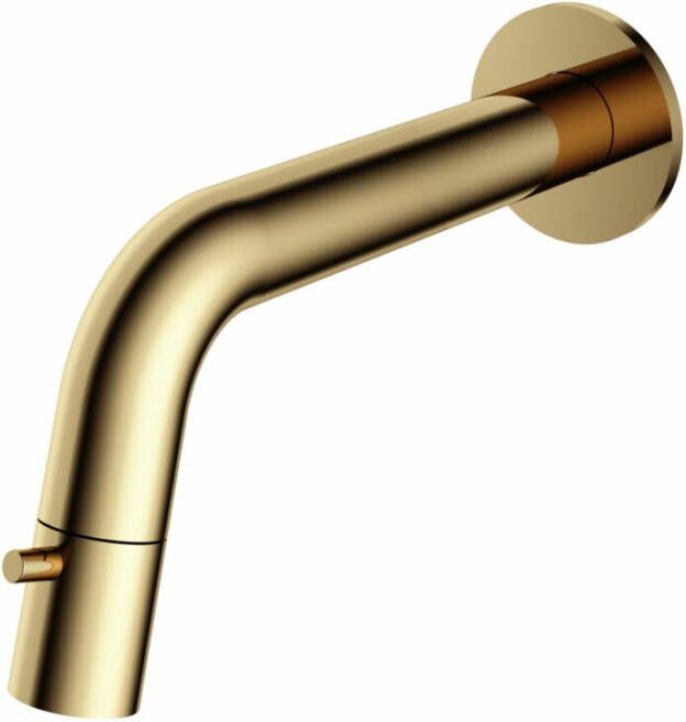 Hotbath Fonteinkraan Inbouw Dude 1-knop gebogen 18.6 cm Inkortbaar Gepolijst Messing Living Colours - Foto 2