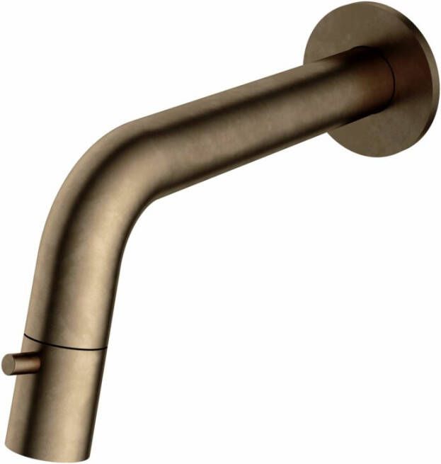 Hotbath Fonteinkraan Inbouw Cobber 1-knop gebogen 18.6 cm Inkortbaar Verouderd Messing Living Colours