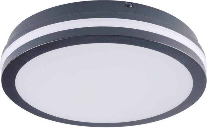 Kanlux Beno plafond 24W LED licht 26x26 grafiet Rond