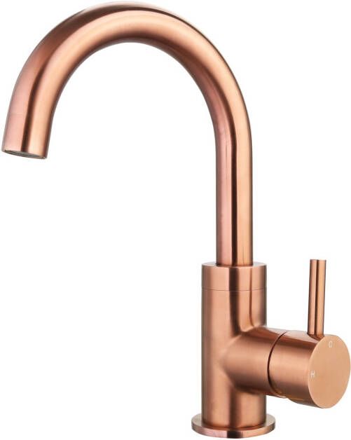 Neuer Largo wastafelmengkraan met draaibare uitloop brons