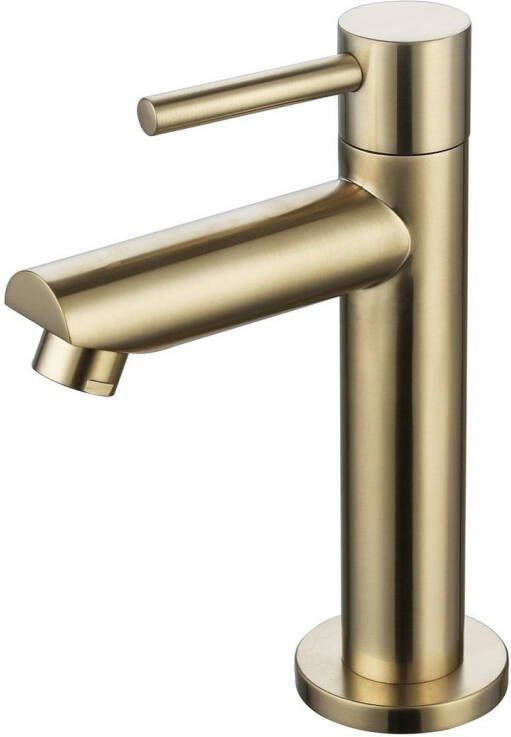 Neuer ronde fonteinkraan geborsteld goud