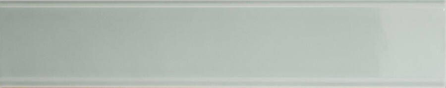 Quintessenza TINTE rechthoekige tegel 5x25 Aquamarina Lucido