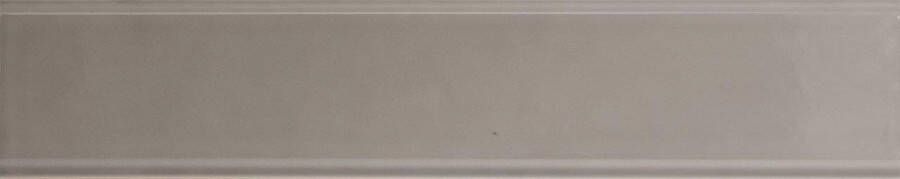 Quintessenza TINTE rechthoekige tegel 5x25 Fango Lucido