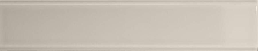 Quintessenza TINTE rechthoekige tegel 5x25 Tortora Lucido