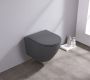 Saniclear Itsie randloze toilet met toiletzitting mat antraciet - Thumbnail 1