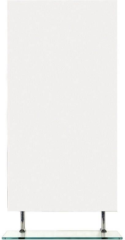 Sapho Badkamerspiegel Wega 50x80 cm met Planchet Glas