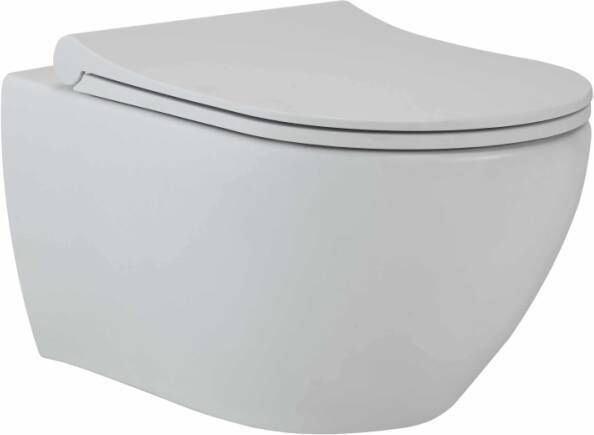 GO by Van Marcke wandtoilet 53x36x35cm met softclose & quickrelease zitting porselein mat wit