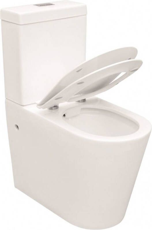 Van Marcke Verhoogd toilet staand rimfree met softclose quickrelease zitting duoblok