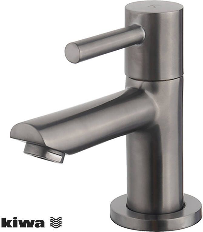 Wiesbaden Amador fonteinkraan Kiwa 1 2&apos;&apos; gunmetal 22.7701