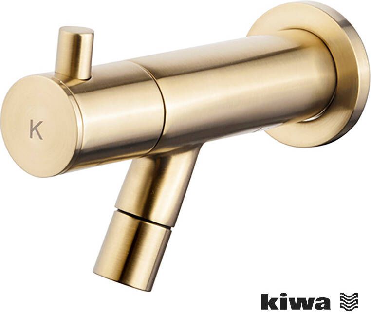 Wiesbaden Amador fonteinkraan met muurbevestiging Kiwa 1 2'' geborsteld messing 22.5722