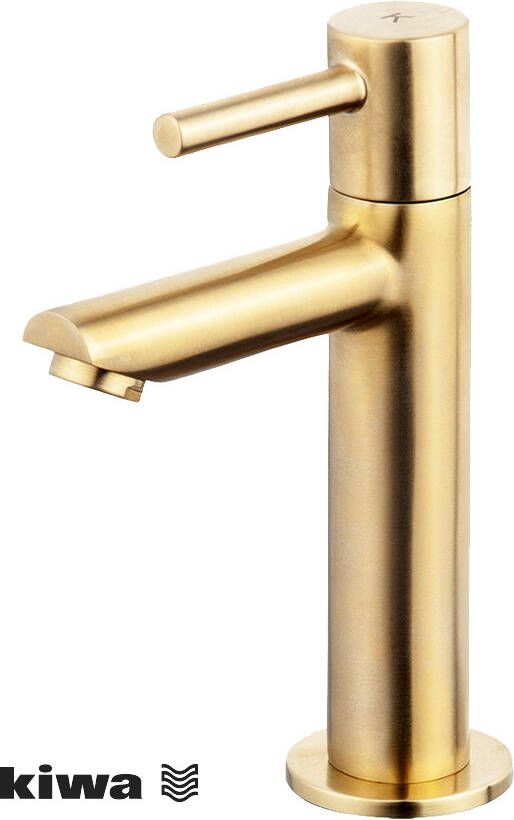 Wiesbaden Amador fonteinkraan XL Kiwa 1 2&apos;&apos; geborsteld messing 22.2723