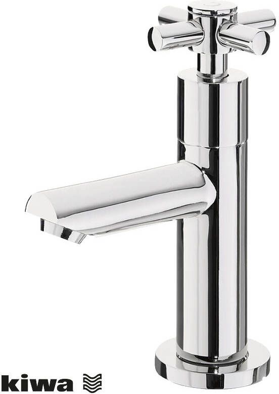 Wiesbaden Fonteinkraan Asmaro | Opbouw | Koudwater kraan | Standaard model | Cross | Chroom - Foto 4