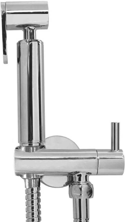 Wiesbaden Caral Bidetset met handdouche en doucheslang chroom 29.4305