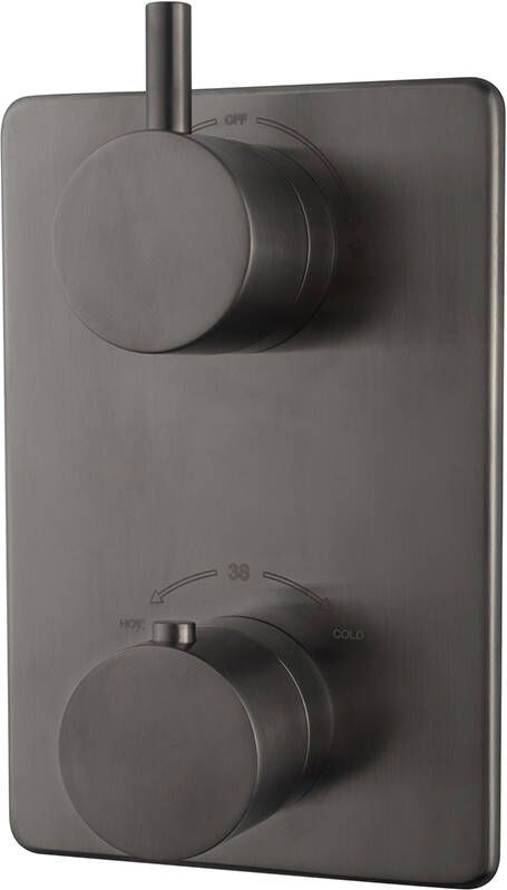 Wiesbaden Douchekraan Caral Afbouwdeel Thermostatisch Inbouw Rond Gunmetal 2 Greeps