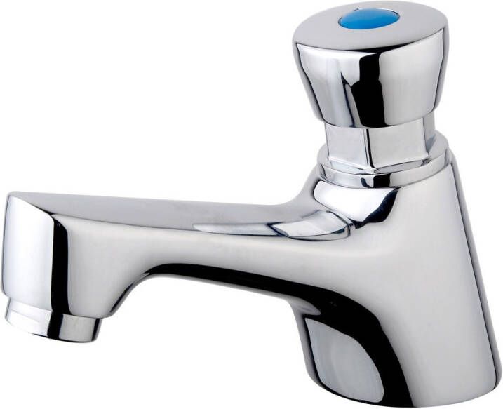 Wiesbaden Fonteinkraan zelfsluitend Autostop | Opbouw | Koudwater kraan | Standaard model | Rond | Chroom - Foto 3