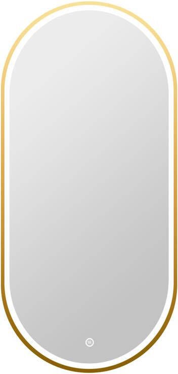 Vtw Living Badkamerspiegel Ovaal met Verlichting 50 x 100 cm Goud