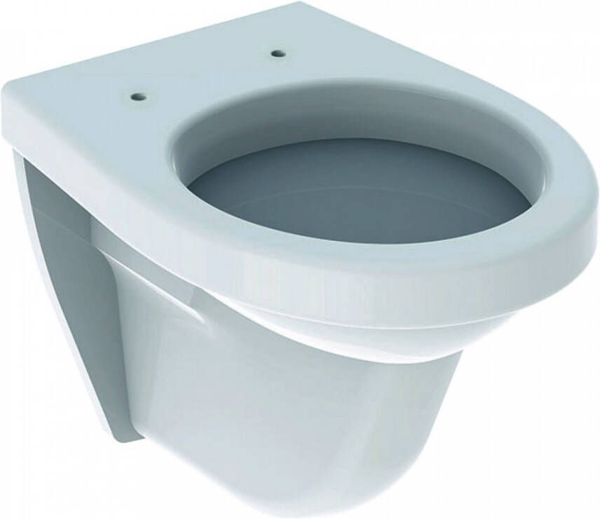 GEBERIT 300 Basic wandcloset diepspoel PK hxbxd 340x350x480mm glans wit S8202900000G