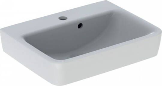 Geberit Renova Plan Fontein 50x38x16 5 cm 1 Kraangat Met Overloop Wit