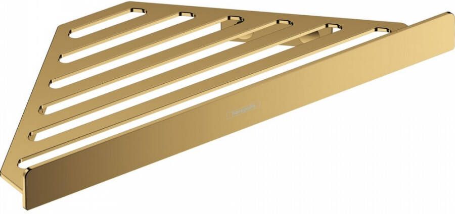 Hansgrohe AddStoris doucherek 14 8x14 8x2 6cm polished gold optic