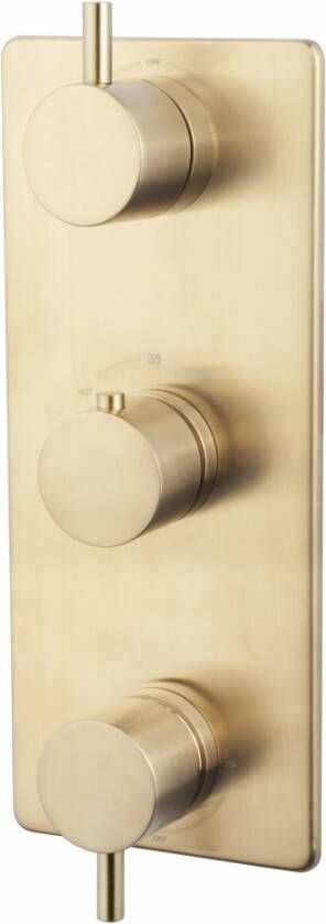 Wiesbaden Douchekraan Caral Afbouwdeel Thermostatisch Inbouw Rond Geborsteld Messing 3 Greeps