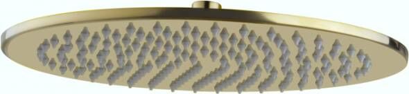 Wiesbaden Hoofddouche UniMatch Caral | 30 cm | Rond | Geborsteld messing PVD - Foto 4