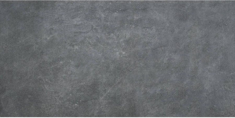 Alaplana Vloertegel Larsen Anthracite 60x120 cm