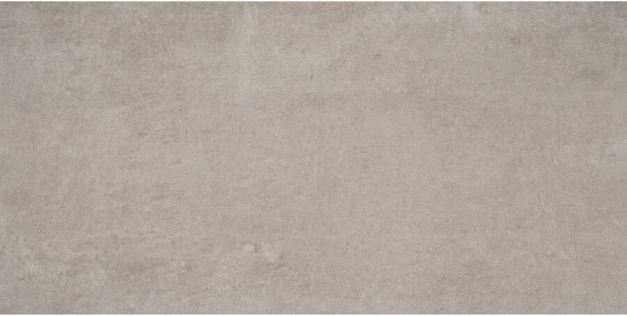 Alaplana Vloertegel P.E. Bonn Gerectificeerd 60x120 cm Mate Taupe