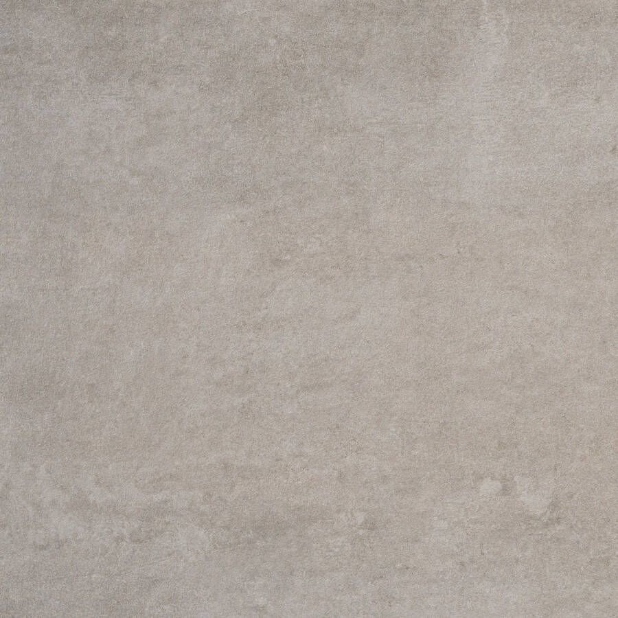 Alaplana Vloertegel P.E. Bonn Gerectificeerd 60x60 cm Mate Taupe