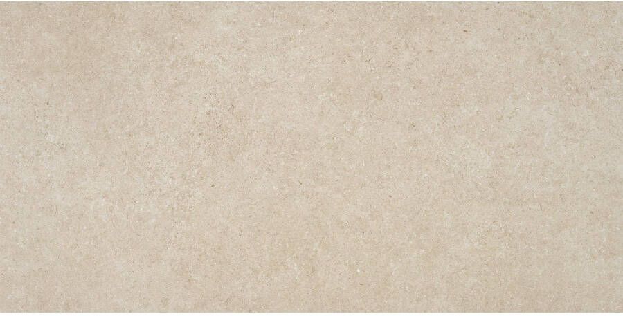 Alaplana Vloertegel P.E. Lomma Gerectificeerd 60x120 cm Mate Beige