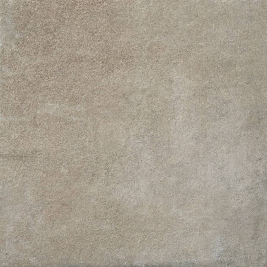 Alaplana Vloertegel P.E. Slipstop Horton Grey Mat 45x45 cm Grijs (doosinhoud 1.42m2)