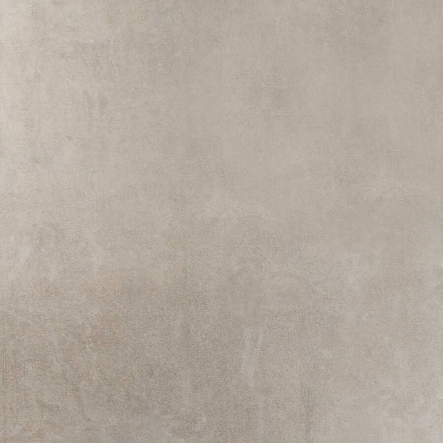 Alaplana Vloertegel P.E. Slipstop Horton Grey Mat 60x60 cm Grijs