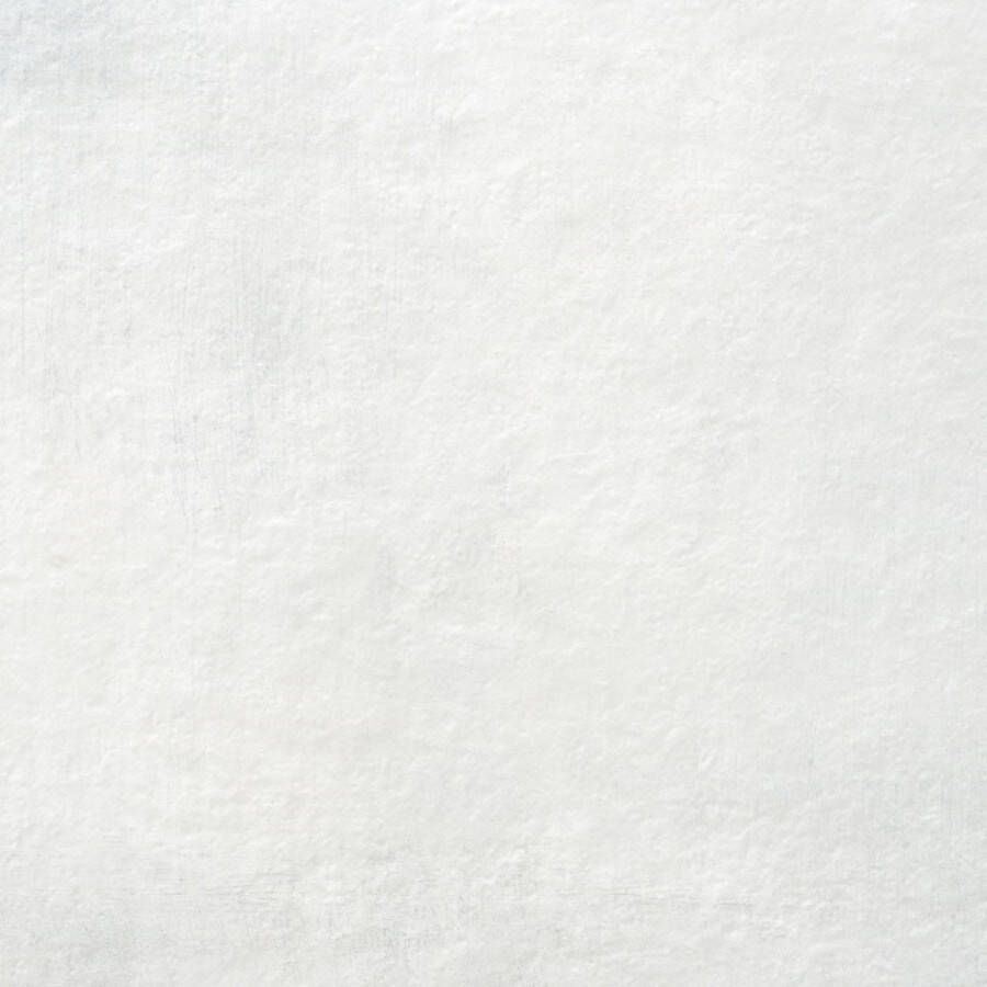 Alaplana Vloertegel P.E. Slipstop Horton White Mat 100x100 cm Wit