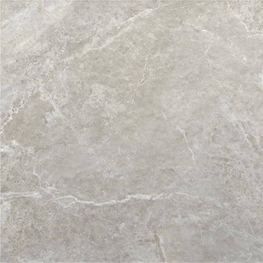 Alaplana Vloertegel P.E.Tenby Slipstop Grey 120x120 cm Grijs